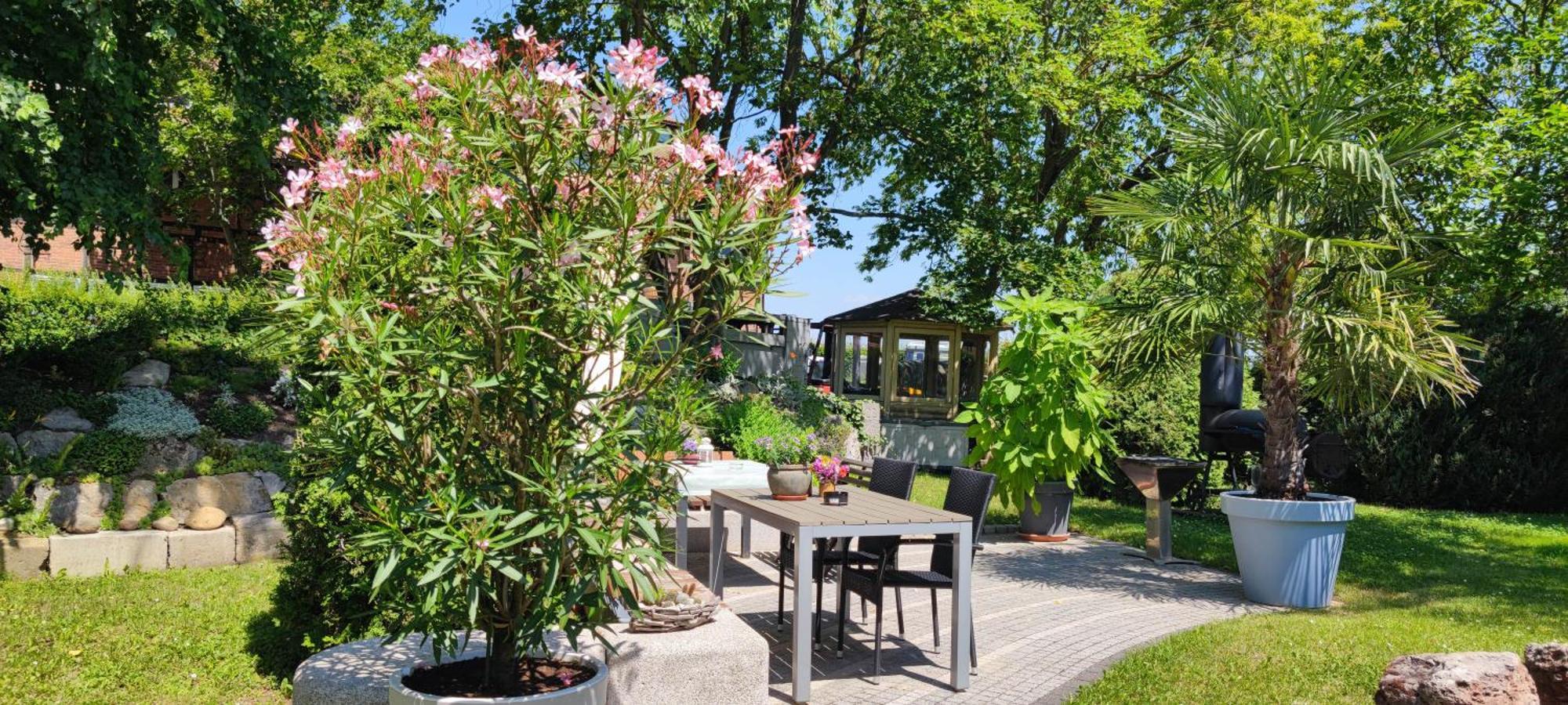 Apartment Im Gruenen Mit Anbindung Ans Zentrum Erfurt Exteriör bild