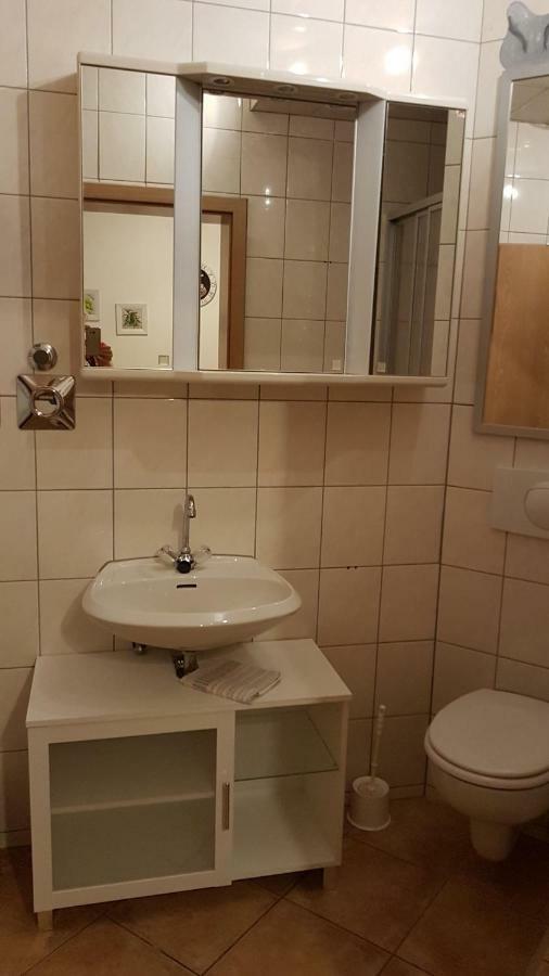Apartment Im Gruenen Mit Anbindung Ans Zentrum Erfurt Exteriör bild